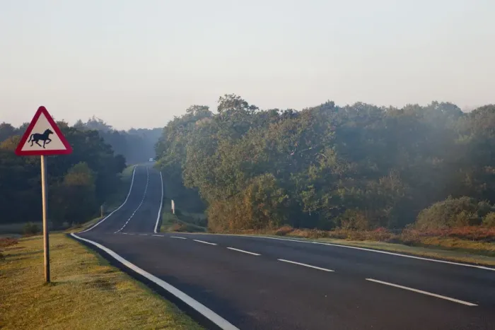 Framed Print : England, Hampshire, New Forest, Road Framed Print : England, Hampshire, New Forest, Road