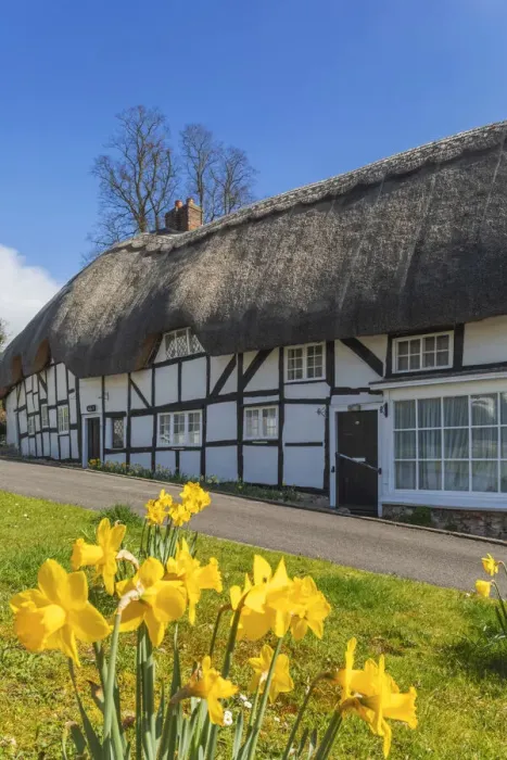 Framed Print : England, Hampshire, Test Valley, Wherwell, Thatched Cottages in the Spring Framed Print : England, Hampshire, Test Valley, Wherwell, Thatched Cottages in the Spring