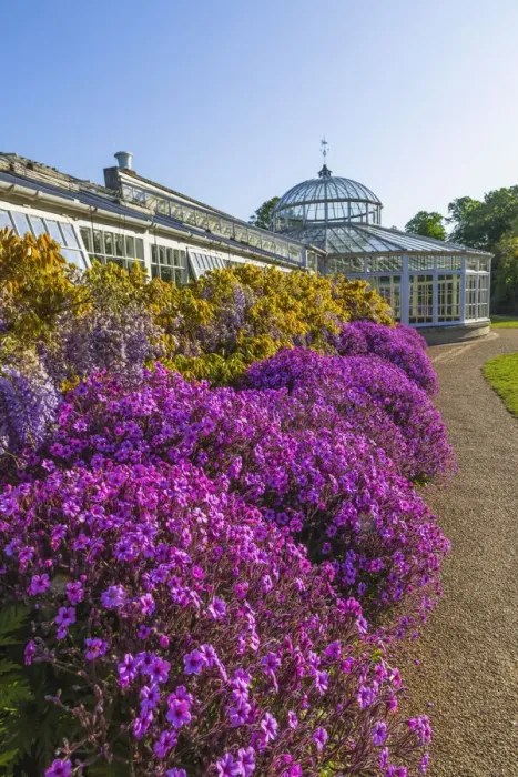 Framed Print : England, London, Chiswick, Chiswick House and Gardens, The Conservatory Framed Print : England, London, Chiswick, Chiswick House and Gardens, The Conservatory