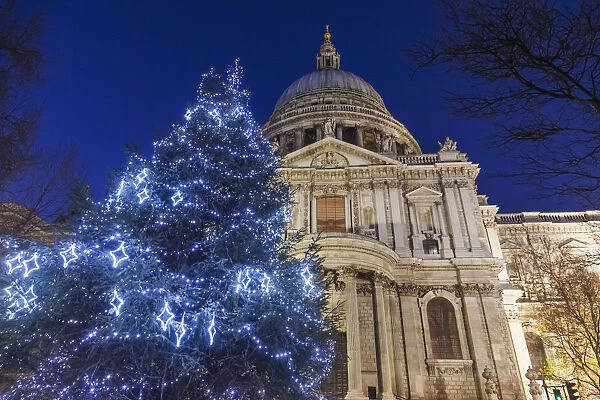 England, London, The City, St. Pauls Cathedral and Christmas Tree