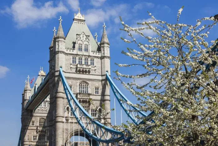 Framed Print : England, London, Southwark, Tower Bridge, Spring Blossom Framed Print : England, London, Southwark, Tower Bridge, Spring Blossom
