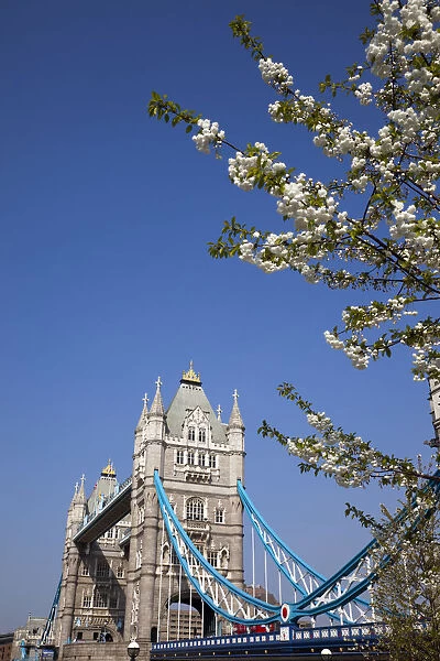 England, London, Tower Bridge and River Thames