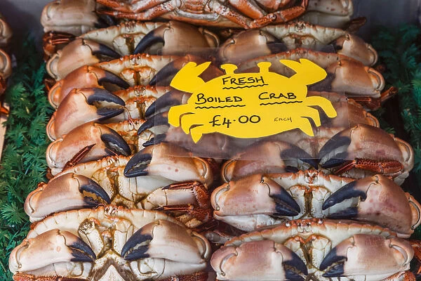 England, Norfolk, Cromer, Fish Shop Display of Cromer Crabs