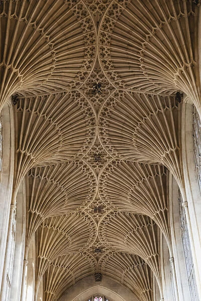 England, Somerset, Bath, Bath Abbey, The Fan-vaulted Ceiling of The Nave