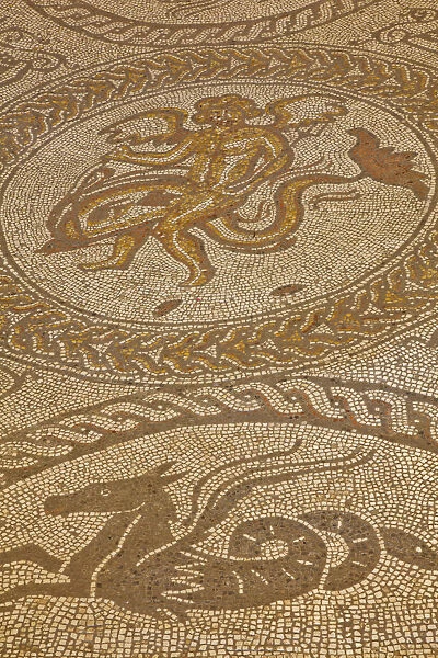 England, West Sussex, Chichester, Fishbourne, The Roman Palace, Cupid on a Dolphin Mosaic