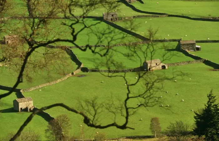 Framed Print : England, Yorkshire, Swaledale Framed Print : England, Yorkshire, Swaledale