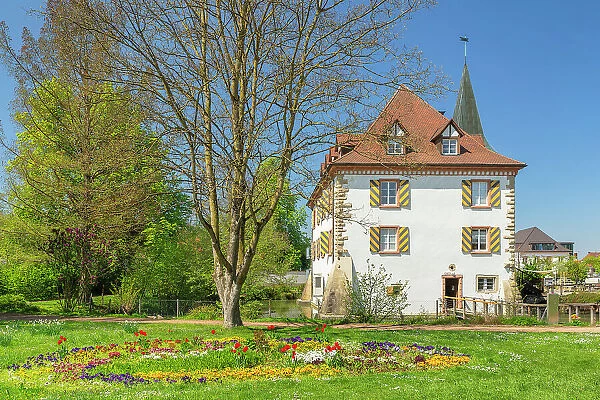Entenstein Castle, Schliengen, Markgrafler Land, Black Forest, Baden-Wurttemberg, Germany