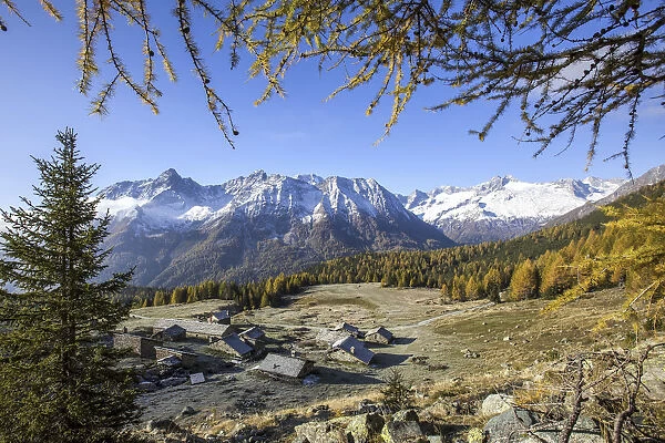 Entova Alp, Malenco Valley Valtellina, Lombardy, Italy Europe