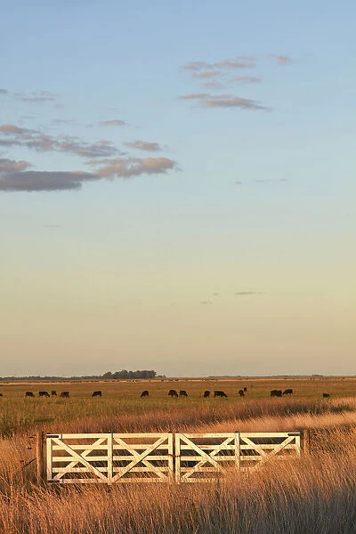 The entrance gate to an estancia of the Argentine pampas at sunset, Las Flores, Argentina