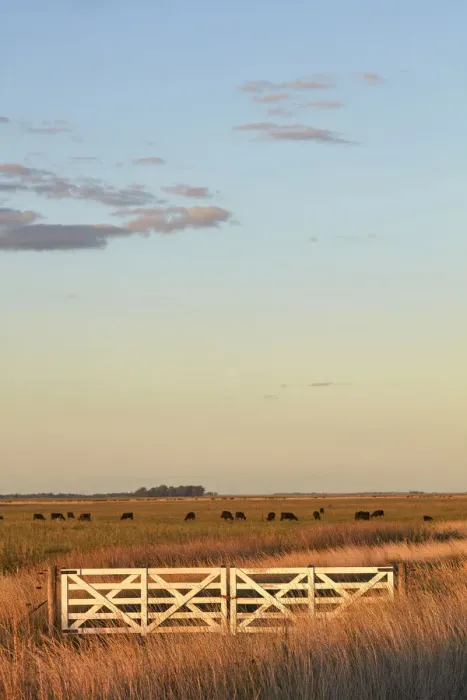 Framed Print : The entrance gate to an estancia of the Argentine pampas at sunset, Las Flores, Argentina
