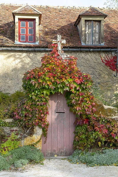 Epoisses, France, Bourgogne-Franche-Comta©, ivy covered door