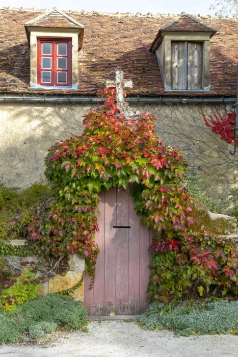 Framed Print : Epoisses, France, Bourgogne-Franche-Comta©, ivy covered door Framed Print : Epoisses, France, Bourgogne-Franche-Comta©, ivy covered door