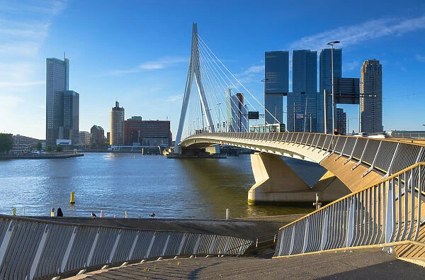 Erasmus Bridge (Erasmusbrug), Rotterdam, Zuid Holland, Netherlands