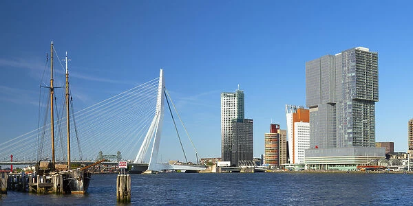 Erasmus Bridge (Erasmusbrug) and skyline, Rotterdam, Zuid Holland, Netherlands