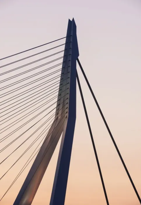 Framed Print : Erasmus Bridge, Rotterdam, Netherlands