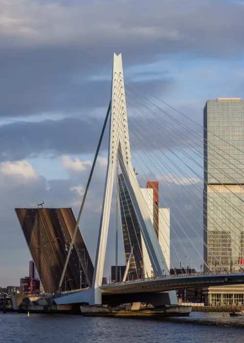 Framed Print : Erasmus Bridge, Rotterdam, South Holland, The Netherlands Framed Print : Erasmus Bridge, Rotterdam, South Holland, The Netherlands