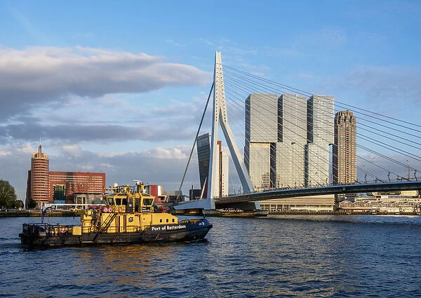 Erasmus Bridge, Rotterdam, South Holland, The Netherlands
