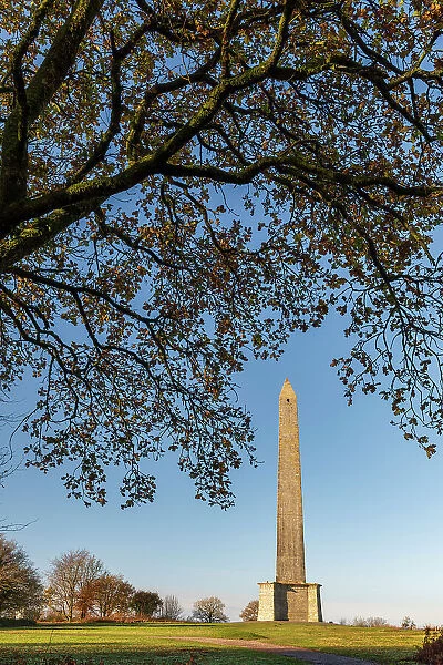 Erected to commemorate the Duke of Wellington's victory at the Battle of Waterloo, the Wellington Monument at 53m is the tallest three sided obelisk in the world. Wellinton, Somerset, England. Autumn (December) 2022