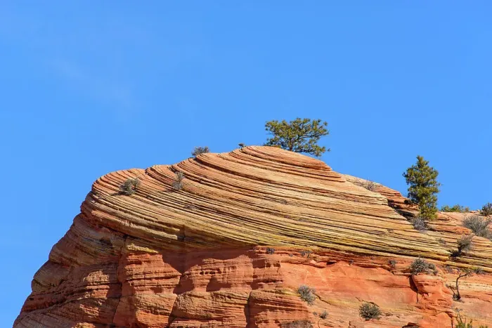 Framed Print : Eroded sandstones in the Beehive area of Zion Park, Zion National Park, Utah, USA Framed Print : Eroded sandstones in the Beehive area of Zion Park, Zion National Park, Utah, USA