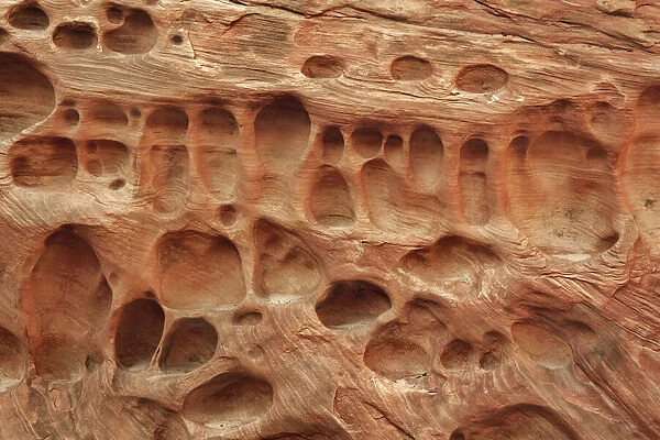 Erosion details im Little Wildhorse Canyon - USA, Utah, Emery