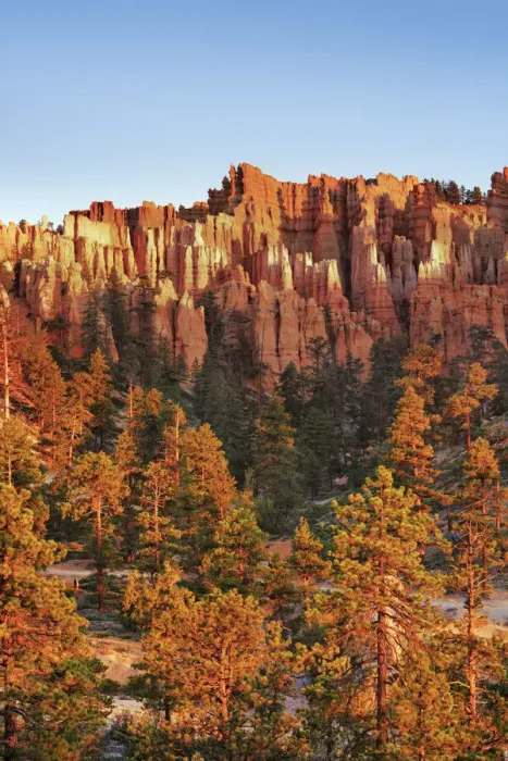 Framed Print : Erosion landscape in Bryce Canyon at Peekaboo Trail - USA, Utah, Garfield, Bryce Canyon Framed Print : Erosion landscape in Bryce Canyon at Peekaboo Trail - USA, Utah, Garfield, Bryce Canyon