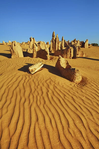 Erosion landscape Pinnacles - Australia, Western Australia, Midwest