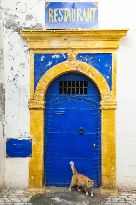 Framed Print : Essaouira, Marrakech-Tensift-Al Haouz, Morocco Framed Print : Essaouira, Marrakech-Tensift-Al Haouz, Morocco