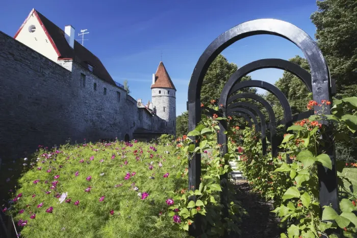 Framed Print : Estonia, Tallinn, Garden Outside Lower Town Wall Framed Print : Estonia, Tallinn, Garden Outside Lower Town Wall