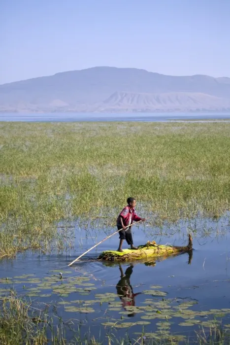Framed Print : Ethiopia, Lake Awassa. A young boy punts a traditional reed Tankwa through the reeds Framed Print : Ethiopia, Lake Awassa. A young boy punts a traditional reed Tankwa through the reeds
