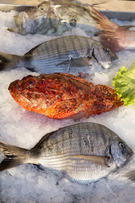 Framed Print : Europe, Balkans, Croatia, Hvar, Mediterranean sea fish on ice in a restaurant in Hvar
