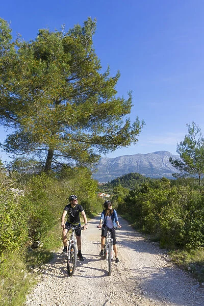 Europe, Balkans, Croatia, Korcula, cyclists mountain biking around Korcula island (MR)