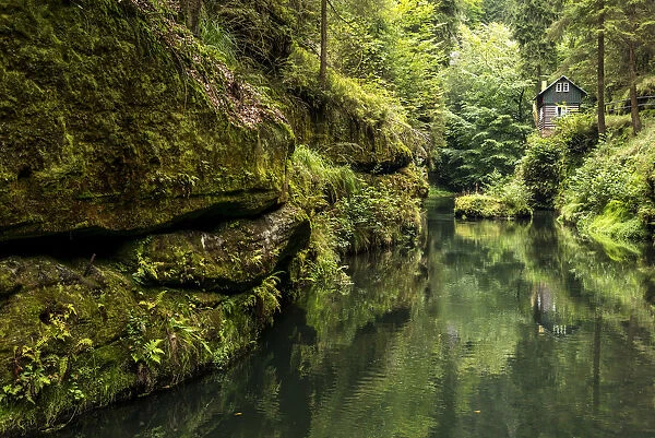 europe, Czech Republic, Hrensko. The Kamnitz Gorge