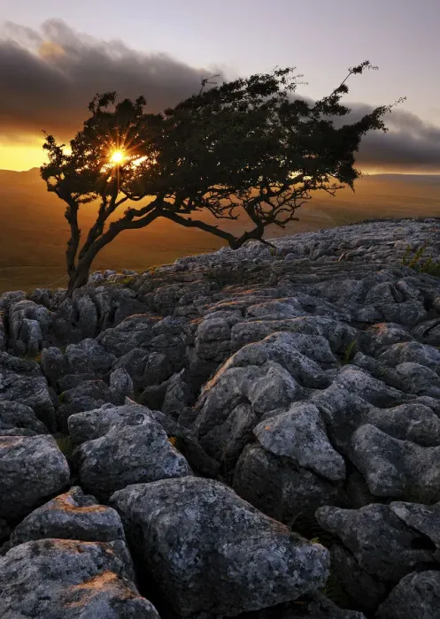 Framed Print : Europe, England, North Yorkshire, Ingleton, Twistleton Scars Framed Print : Europe, England, North Yorkshire, Ingleton, Twistleton Scars
