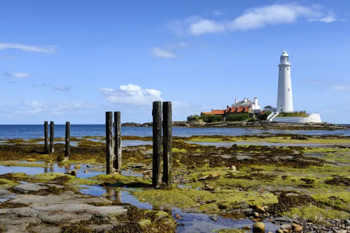 Framed Print : Europe, England, Tyne and Wear, St Marys Lighthouse Framed Print : Europe, England, Tyne and Wear, St Marys Lighthouse
