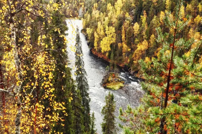 Framed Print : Europe, Finland, Lapland, Kuusamo, Oulanka National Park, Kalliosaari island in Framed Print : Europe, Finland, Lapland, Kuusamo, Oulanka National Park, Kalliosaari island in