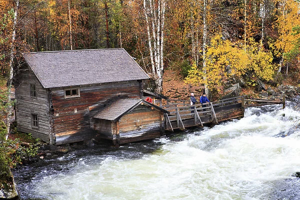 Europe, Finland, Lapland, Kuusamo, Oulanka National Park, rapids at the Myllykoski