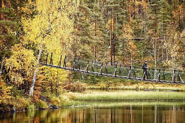 Europe, Finland, Lapland, Kuusamo, Oulanka National Park, Karhunkierros Trail - the