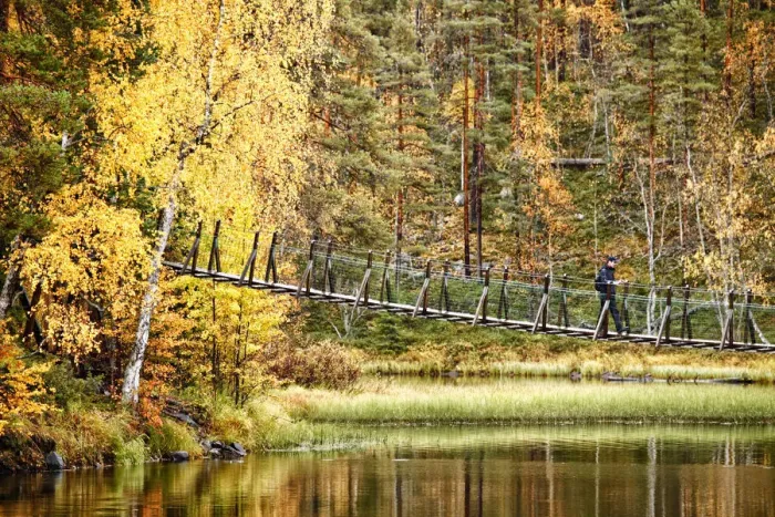 Framed Print : Europe, Finland, Lapland, Kuusamo, Oulanka National Park, Karhunkierros Trail -