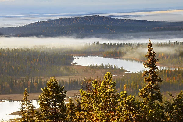 Europe, Finland, Lapland, Salla, a view from the top of Ruuhitunturi Fell over Taiga