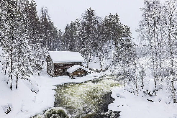 Europe, Finland, Myllykoski Mill and Myllytupa gorge at Oulanka National Park in winter, Oulu