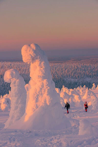 Europe, Finland, tourists hiking to the top of a hill covered with snow at Riisitunturi National Park in finnish Lapland MR