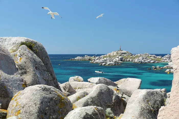 Framed Print : Europe, France Corsica, Corse-du-Sud Lavezzi Islands, Seagulls flying over rocks on the Lavezzi islands of Southern Corsica Framed Print : Europe, France Corsica, Corse-du-Sud Lavezzi Islands, Seagulls flying over rocks on the Lavezzi islands of Southern Corsica