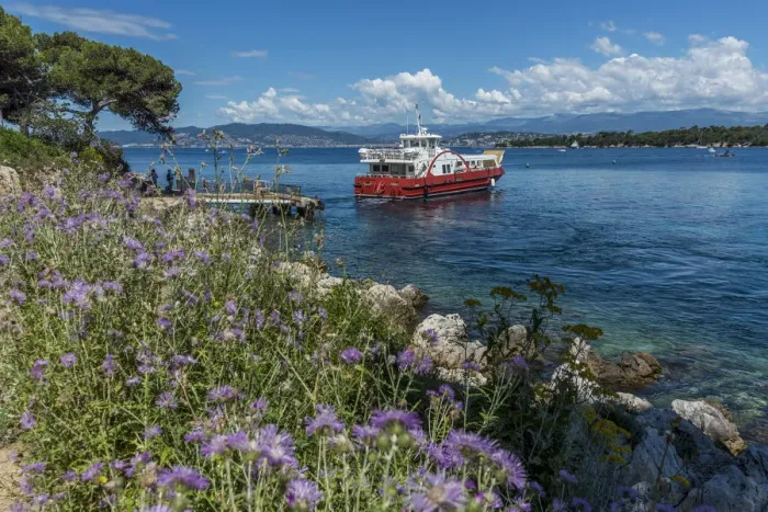 Framed Print : Europe, France, Cote D Azur. The ferry boat departing from Ile Saint-Honorat back Framed Print : Europe, France, Cote D Azur. The ferry boat departing from Ile Saint-Honorat back