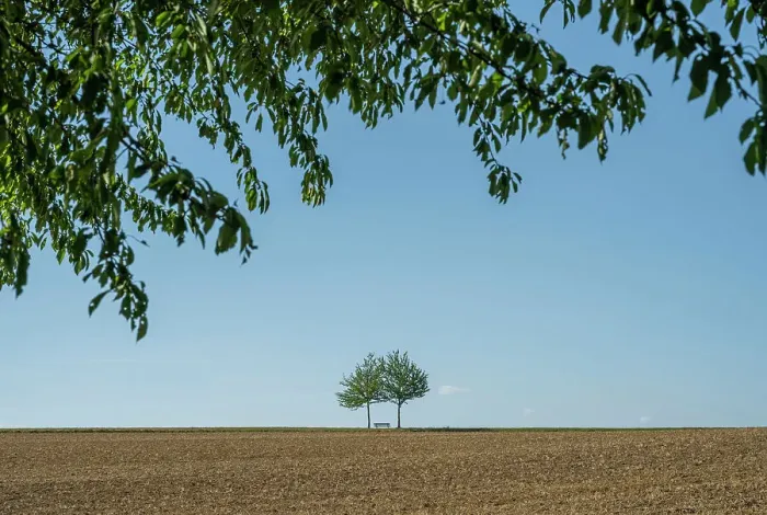 Framed Print : europe, Germany, Saxony. A field with a bench
