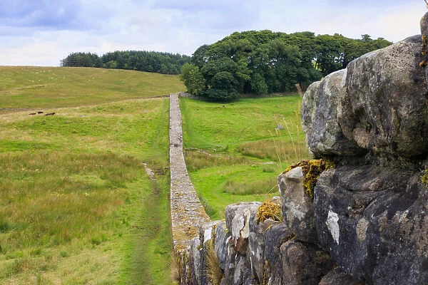 Europe, Great Britain, England, Northumberland, Hadrians Wall Unesco World