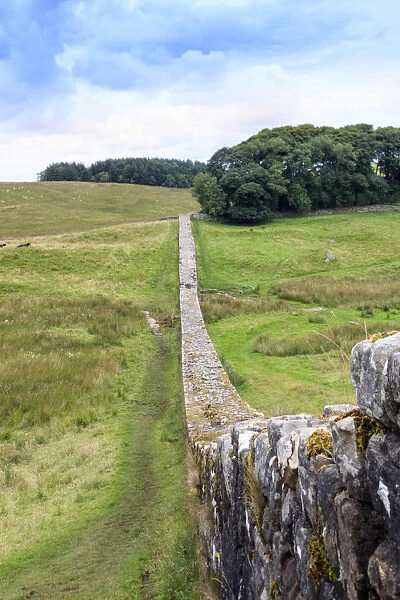Europe, Great Britain, England, Northumberland, Hadrians Wall Unesco World Heritage
