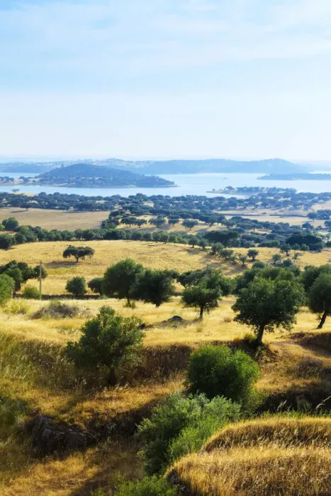 Framed Print : Europe, Iberia, Portugal, The Alentejo; Evora; view of the Alqueva Lake and the Alentejo Framed Print : Europe, Iberia, Portugal, The Alentejo; Evora; view of the Alqueva Lake and the Alentejo