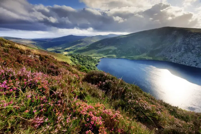 Framed Print : Europe, Ireland, blue lake at Sallys Gap in Wicklow mountains national park Framed Print : Europe, Ireland, blue lake at Sallys Gap in Wicklow mountains national park