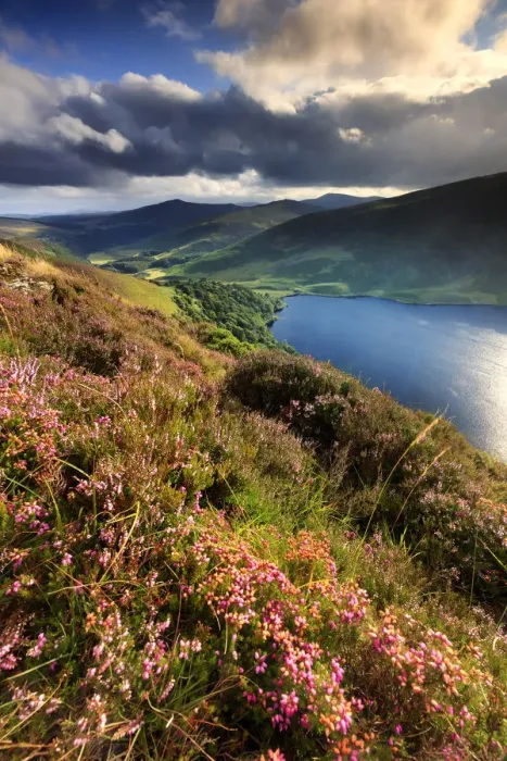 Framed Print : Europe, Ireland, blue lake at Sallys Gap in Wicklow mountains national park Framed Print : Europe, Ireland, blue lake at Sallys Gap in Wicklow mountains national park