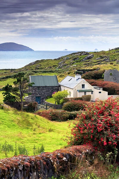 Europe, Ireland, houses by the sea along Beara peninsula